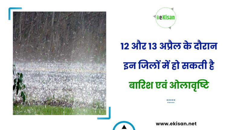12 और 13 अप्रैल के दौरान इन जिलों में हो सकती है बारिश एवं ओलावृष्टि