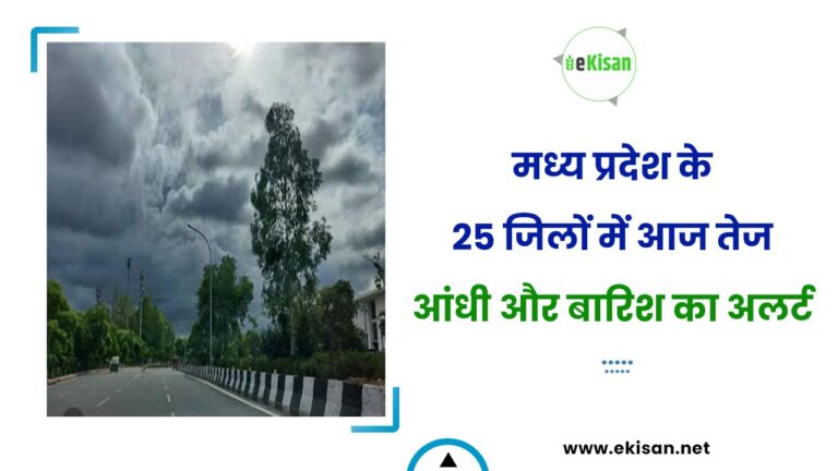मध्य प्रदेश के 25 जिलों में आज तेज आंधी और बारिश का अलर्ट