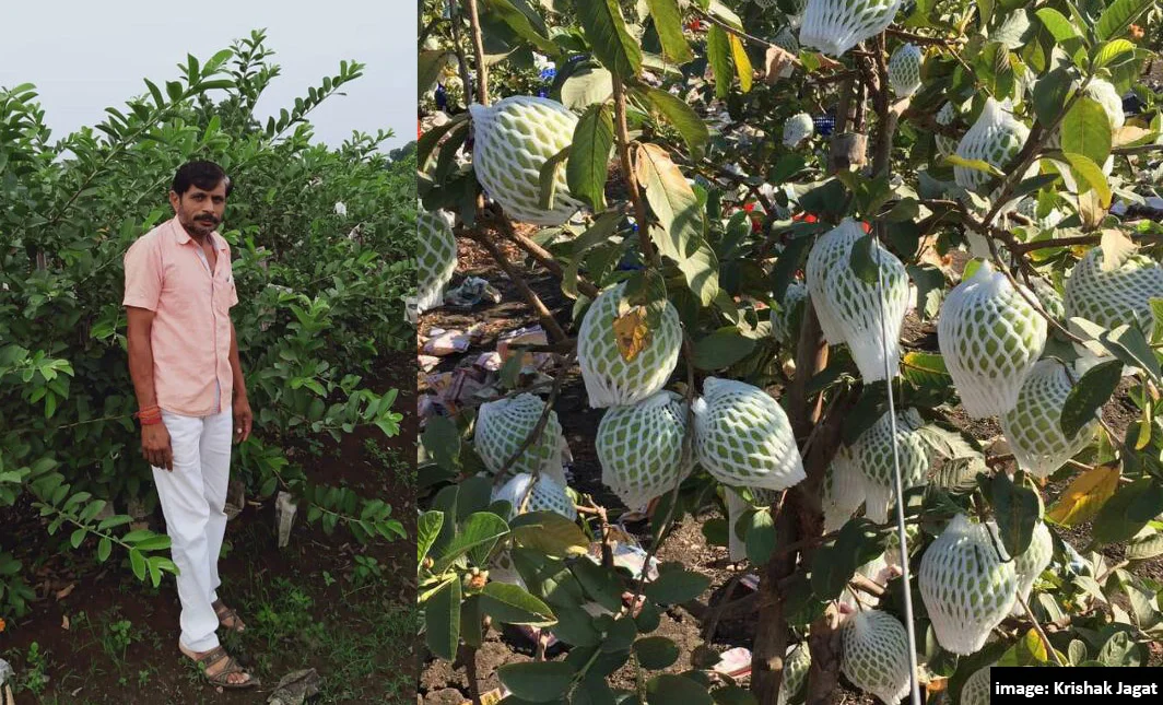 farmer success story khargone rajesh patidar