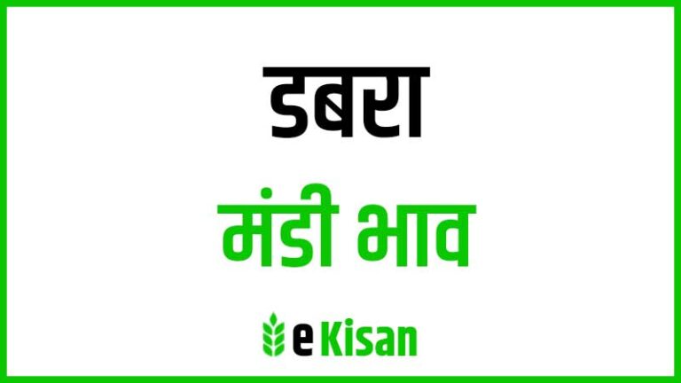 Dabra Mandi Bhav डबरा मंडी भाव