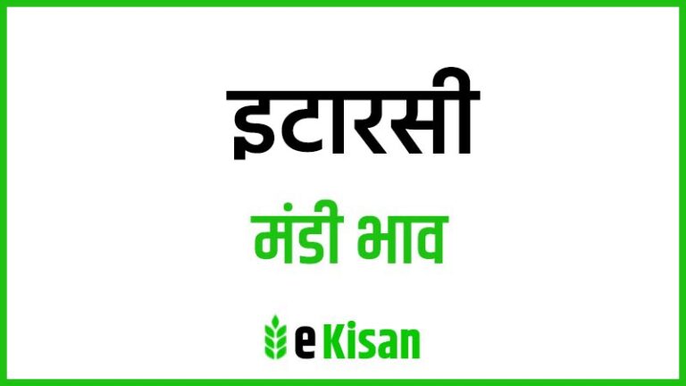 Itarsi Mandi Bhav इटारसी मंडी भाव