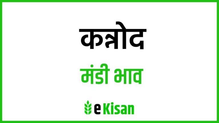Kannod Mandi Bhav कन्नोद मंडी भाव