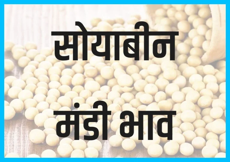 सोयाबीन के मंडी भाव साप्ताहिक