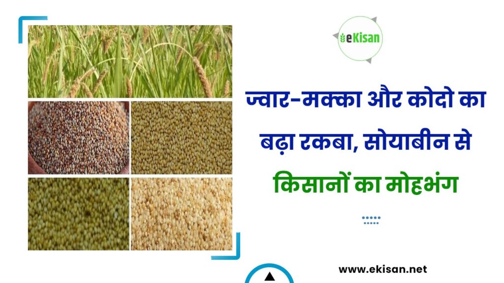 रकबा