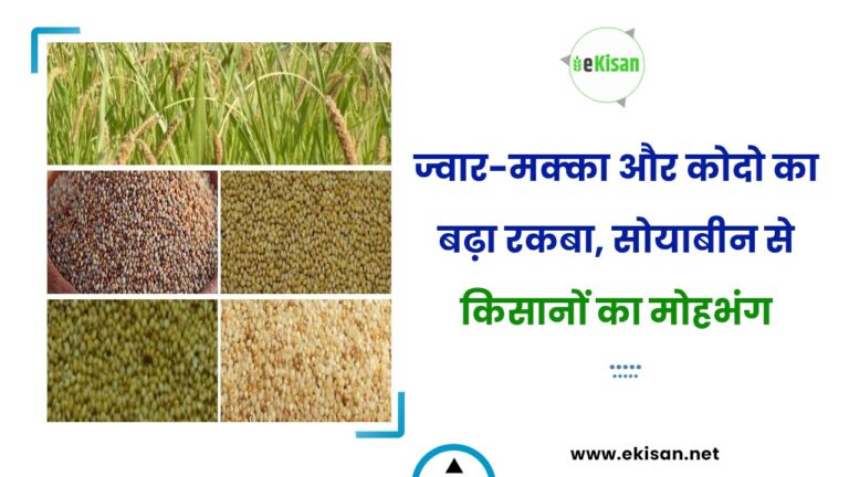रकबा