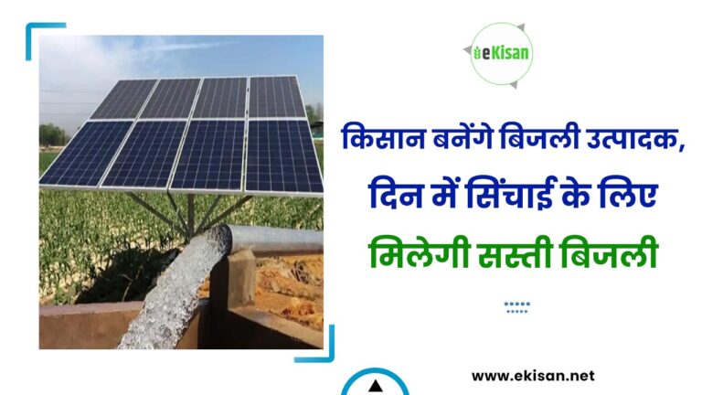 किसान बनेंगे बिजली उत्पादक, दिन में सिंचाई के लिए मिलेगी सस्ती बिजली