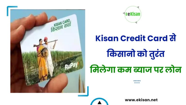 Kisan Credit Card से किसानो को तुरंत मिलेगा कम ब्याज पर लोन