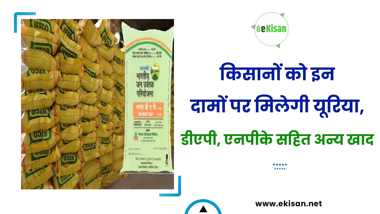 खाद