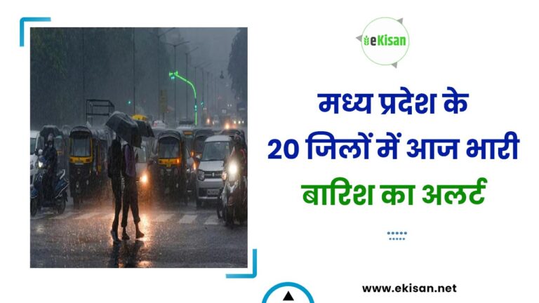मध्य प्रदेश के 20 जिलों में आज भारी बारिश का अलर्ट