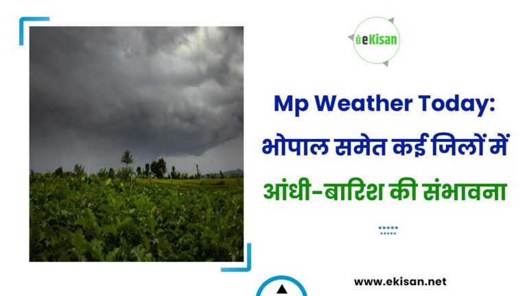 Mp Weather Today: भोपाल समेत कई जिलों में आंधी-बारिश की संभावना
