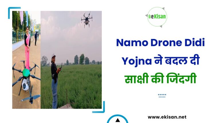 Namo Drone Didi Yojna ने बदल दी साक्षी की जिंदगी