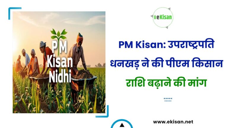 PM Kisan: उपराष्ट्रपति धनखड़ ने की पीएम किसान राशि बढ़ाने की मांग