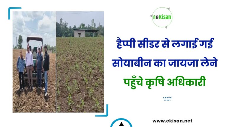 हैप्पी सीडर से लगाई गई सोयाबीन का जायजा लेने पहुँचे कृषि अधिकारी