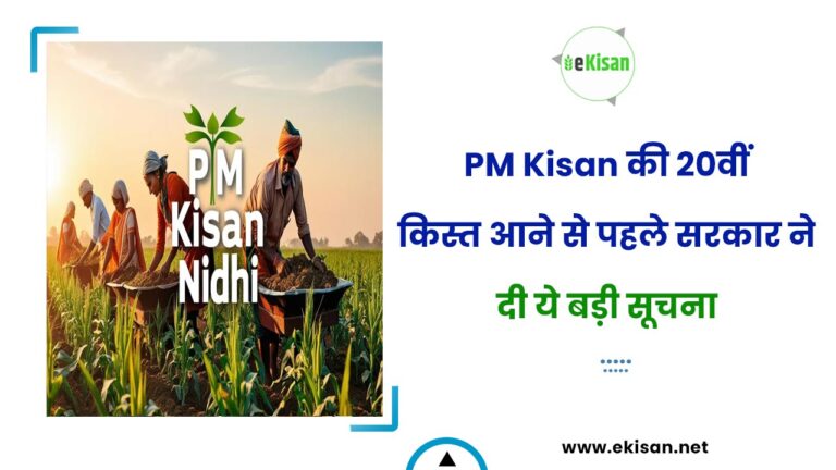 PM Kisan की 20वीं किस्त आने से पहले सरकार ने दी ये बड़ी सूचना