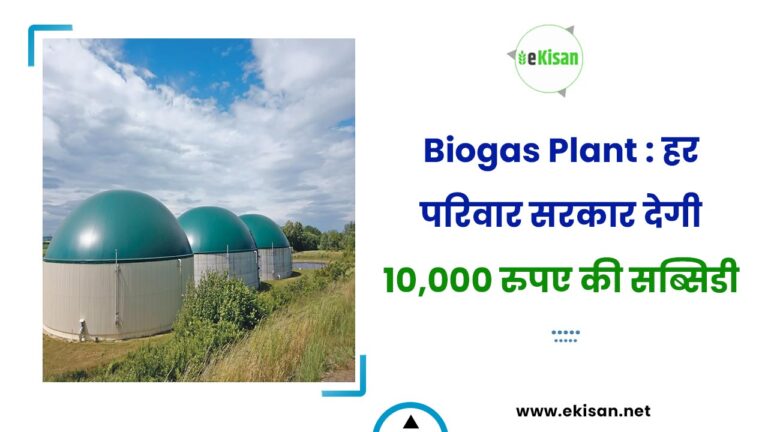 Biogas Plant : हर परिवार सरकार देगी 10,000 रुपए की सब्सिडी