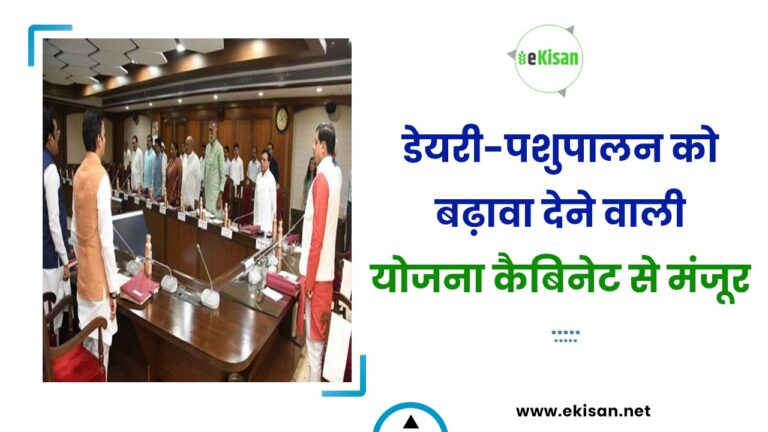 डेयरी-पशुपालन को बढ़ावा देने वाली योजना कैबिनेट से मंजूर