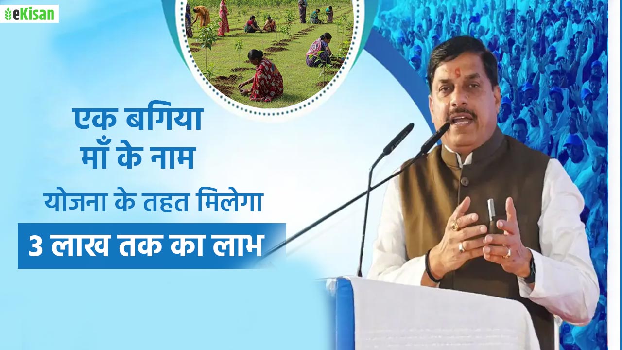 ek bagiya maa ke naam yojana