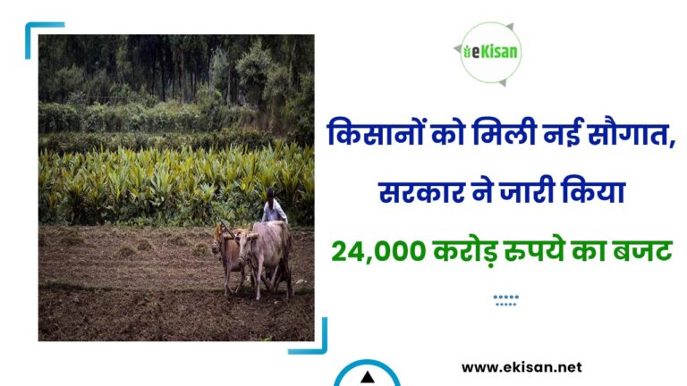 किसानों को मिली नई सौगात, सरकार ने जारी किया 24,000 करोड़ रुपये का बजट