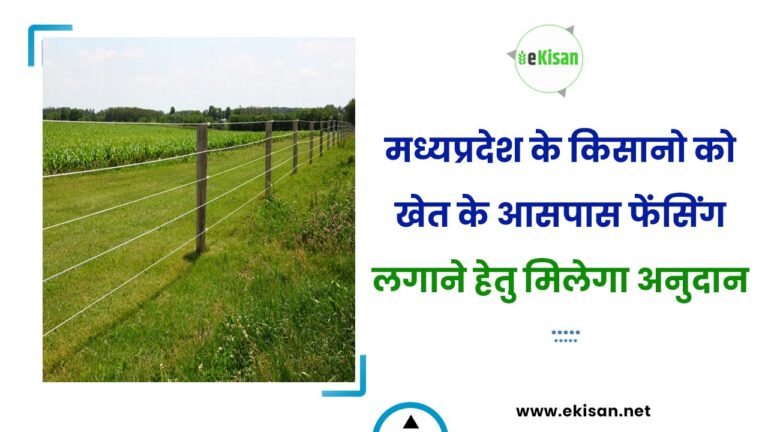 मध्यप्रदेश के किसानो को खेत के आसपास फेंसिंग लगाने हेतु मिलेगा अनुदान