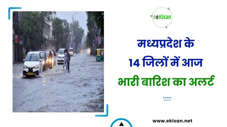 मध्यप्रदेश के 14 जिलों में आज भारी बारिश का अलर्ट