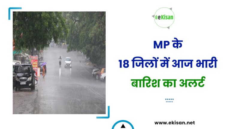 MP के 18 जिलों में आज भारी बारिश का अलर्ट