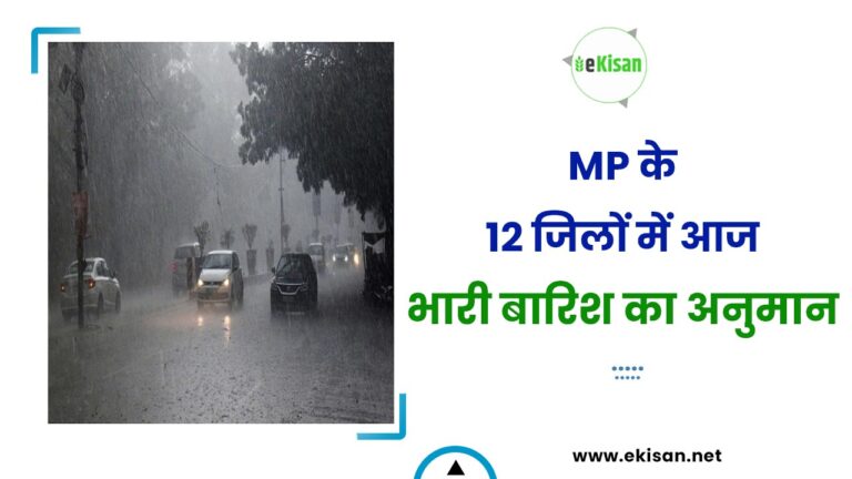 MP के 12 जिलों में आज भारी बारिश का अनुमान