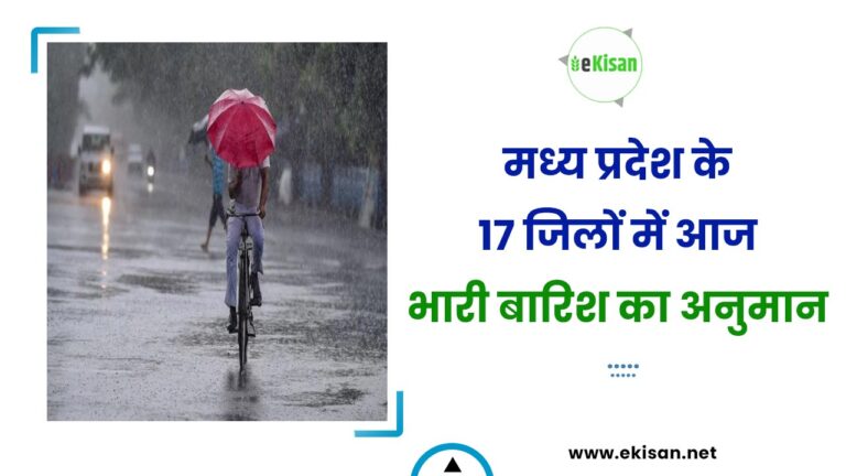 मध्य प्रदेश के 17 जिलों में आज भारी बारिश का अनुमान