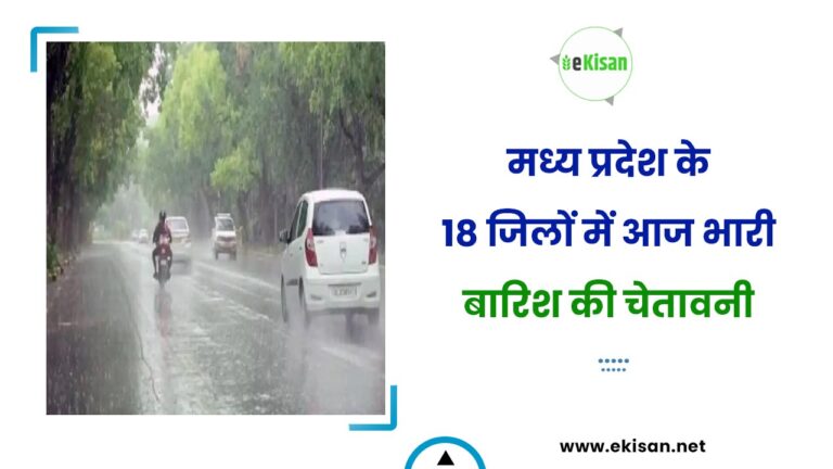 मध्य प्रदेश के 18 जिलों में आज भारी बारिश की चेतावनी