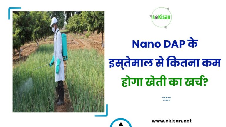 Nano DAP के इस्‍तेमाल से कितना कम होगा खेती का खर्च?