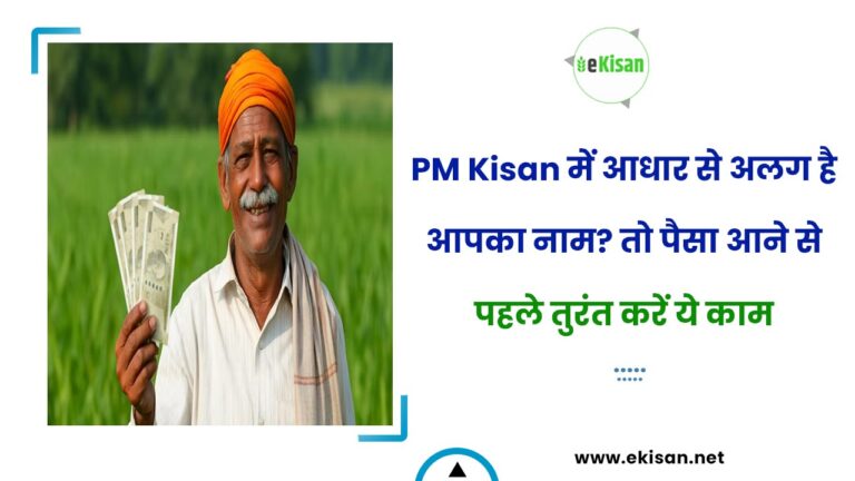 PM Kisan में आधार से अलग है आपका नाम? तो पैसा आने से पहले तुरंत करें ये काम