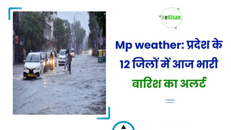 Mp weather: प्रदेश के 12 जिलों में आज भारी बारिश का अलर्ट