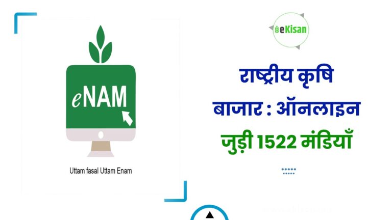 राष्ट्रीय कृषि बाजार : ऑनलाइन जुड़ी 1522 मंडियाँ