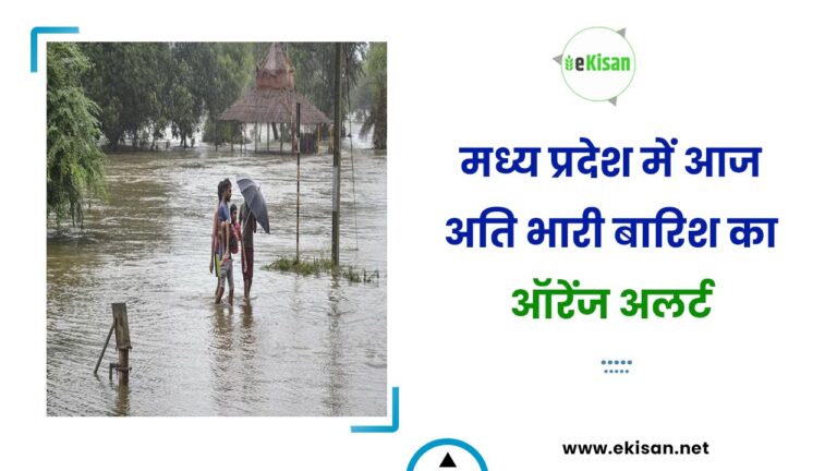 मध्य प्रदेश में आज अति भारी बारिश का ऑरेंज अलर्ट