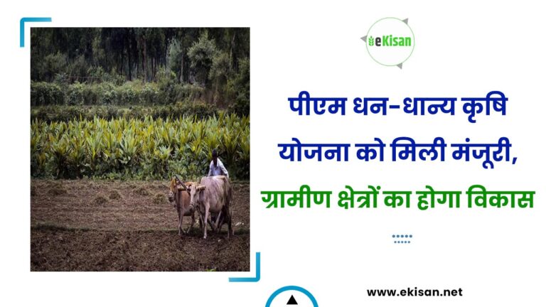 पीएम धन-धान्य कृषि योजना को मिली मंजूरी, ग्रामीण क्षेत्रों का होगा विकास