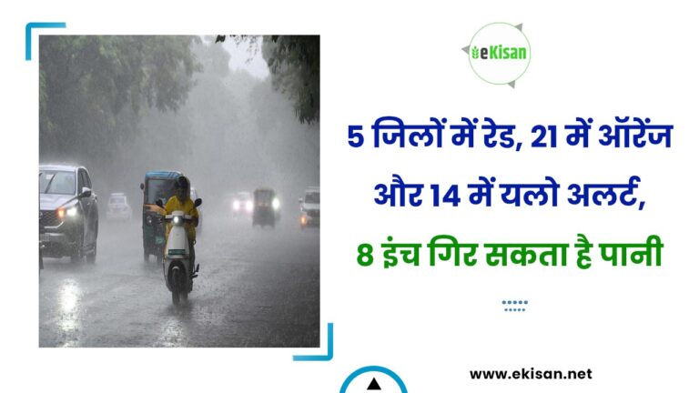 5 जिलों में रेड, 21 में ऑरेंज और 14 में यलो अलर्ट, 8 इंच गिर सकता है पानी