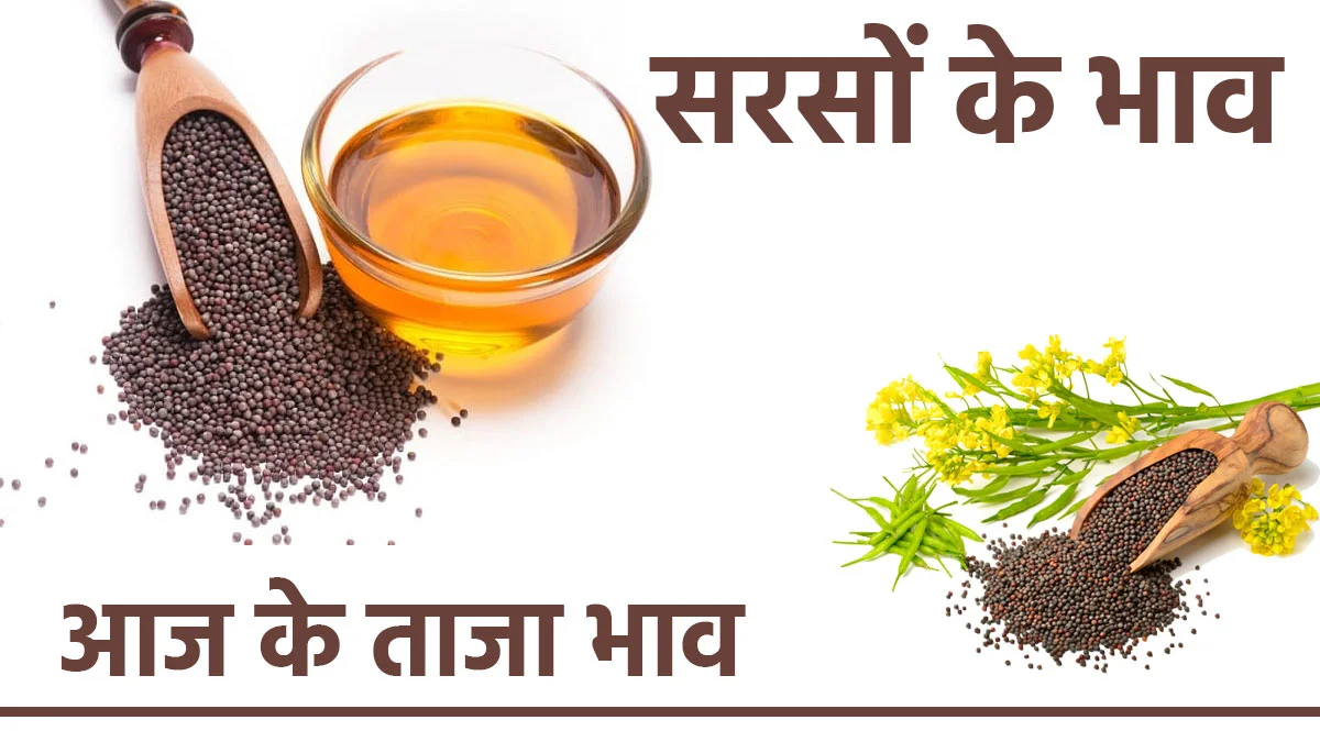 SARSO MANDI RATES