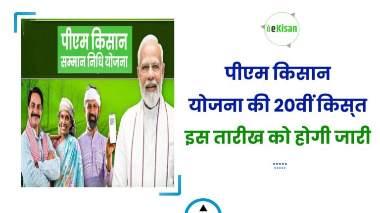 पीएम किसान योजना की 20वीं किस्‍त इस तारीख को होगी जारी