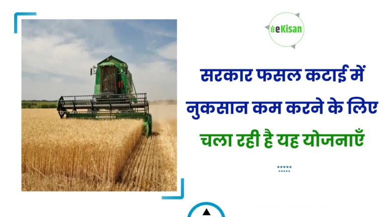 सरकार फसल कटाई में नुकसान कम करने के लिए चला रही है यह योजनाएँ
