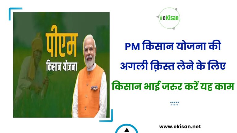PM किसान योजना की अगली क़िस्त लेने के लिए किसान भाई जरुर करें यह काम