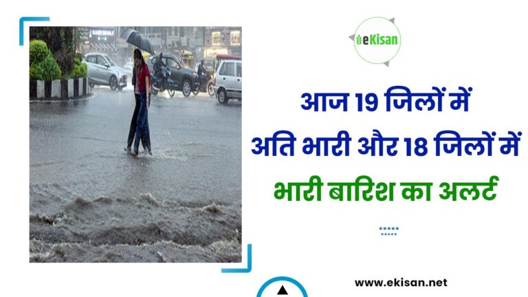 आज 19 जिलों में अति भारी और 18 जिलों में भारी बारिश का अलर्ट