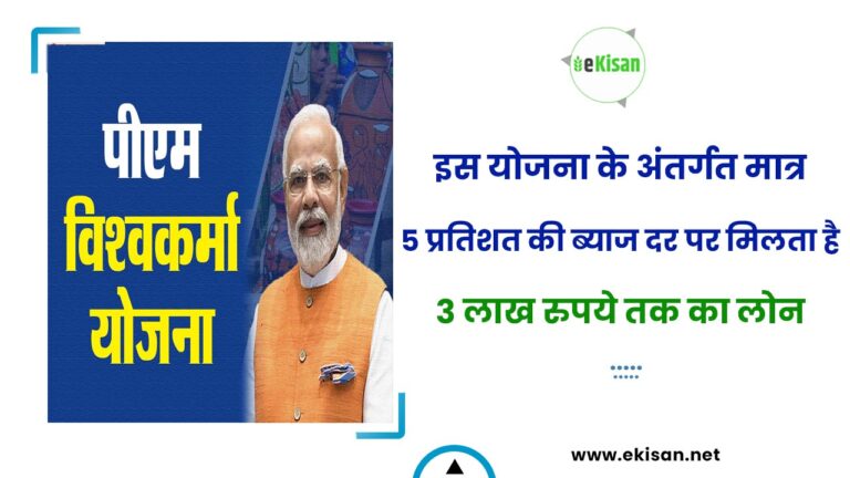 इस योजना के अंतर्गत मात्र 5 प्रतिशत की ब्याज दर पर मिलता है 3 लाख रुपये तक का लोन