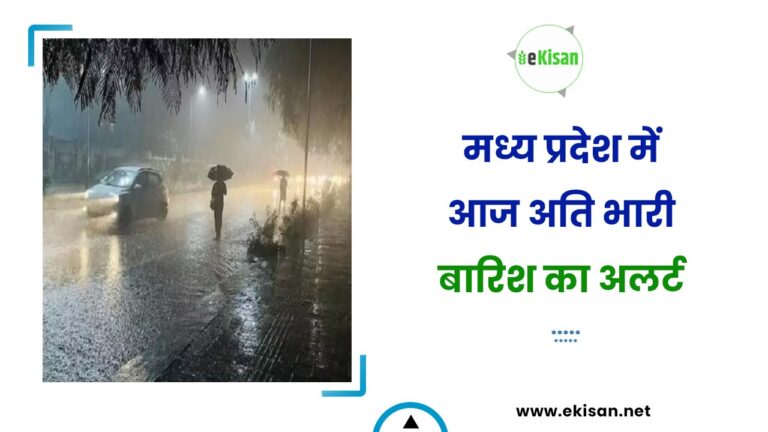 मध्य प्रदेश में आज अति भारी बारिश का अलर्ट