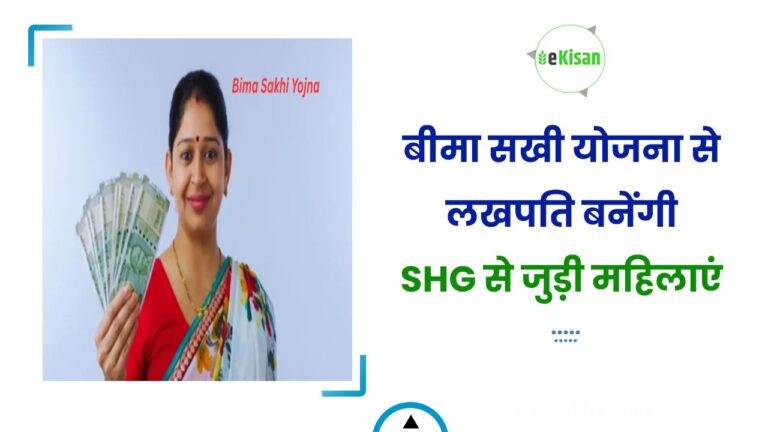 बीमा सखी योजना से लखपति बनेंगी SHG से जुड़ी मह‍िलाएं