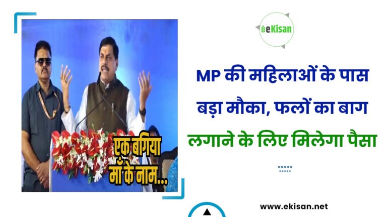 MP की महिलाओं के पास बड़ा मौका, फलों का बाग लगाने के लिए मिलेगा पैसा