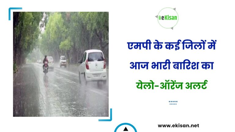 एमपी के कई जिलों में आज भारी बारिश का येलो-ऑरेंज अलर्ट