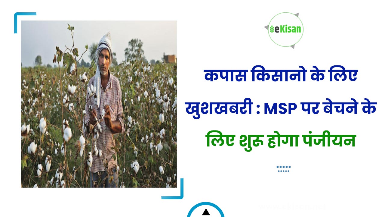 किसानों