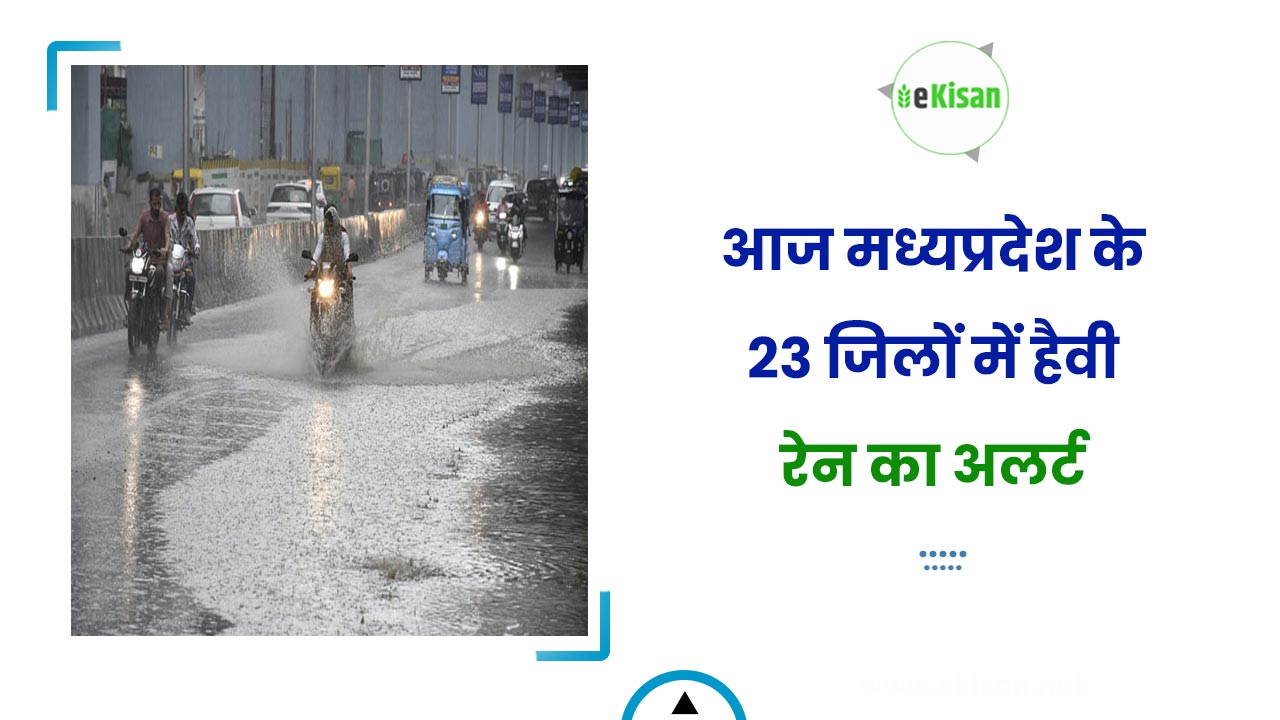 अलर्ट