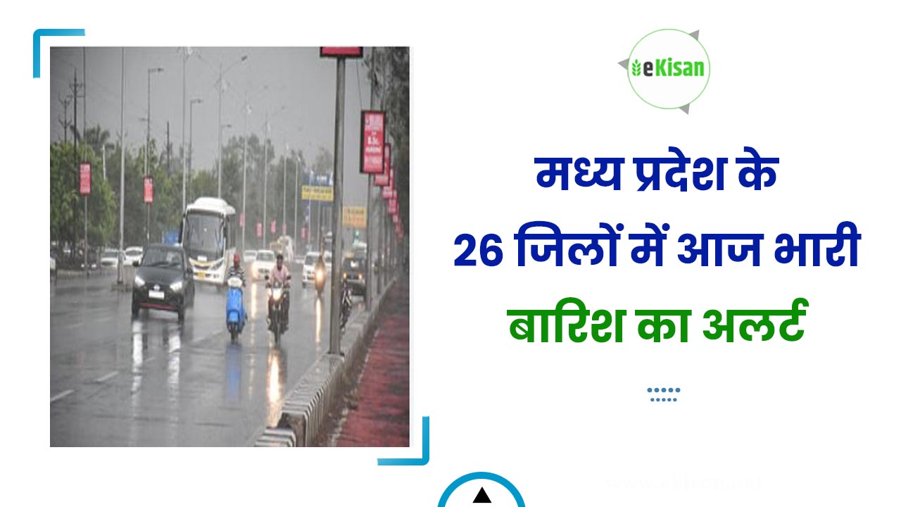 अलर्ट