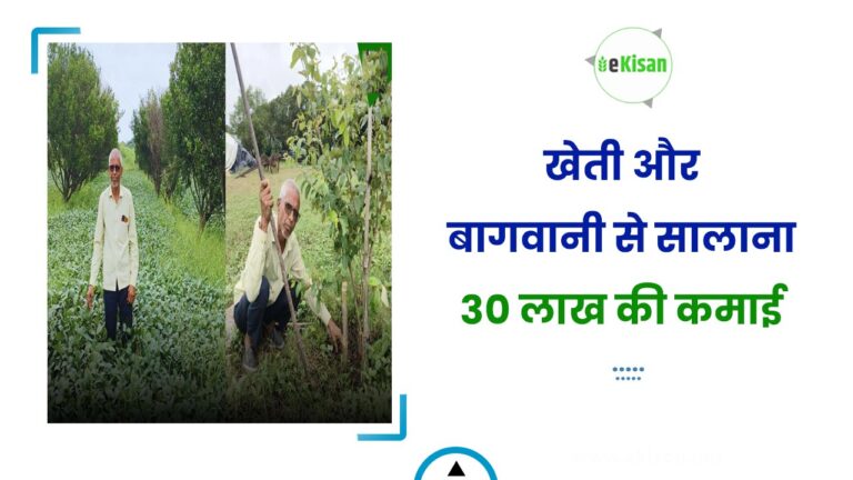 खेती और बागवानी से सालाना 30 लाख की कमाई