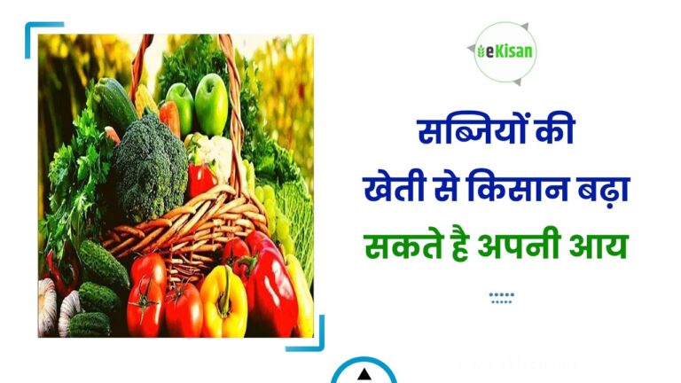 सब्जियों की खेती से किसान बढ़ा सकते है अपनी आय